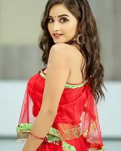 Call Girls Service Vijapur